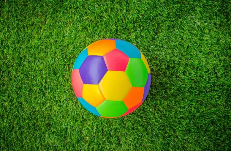 Real leather Colorful multi colour  Soccer ball on green grass