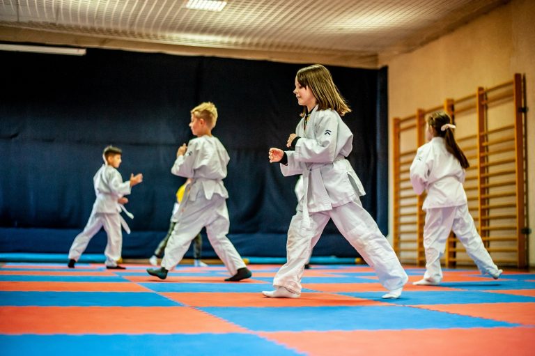 aikido